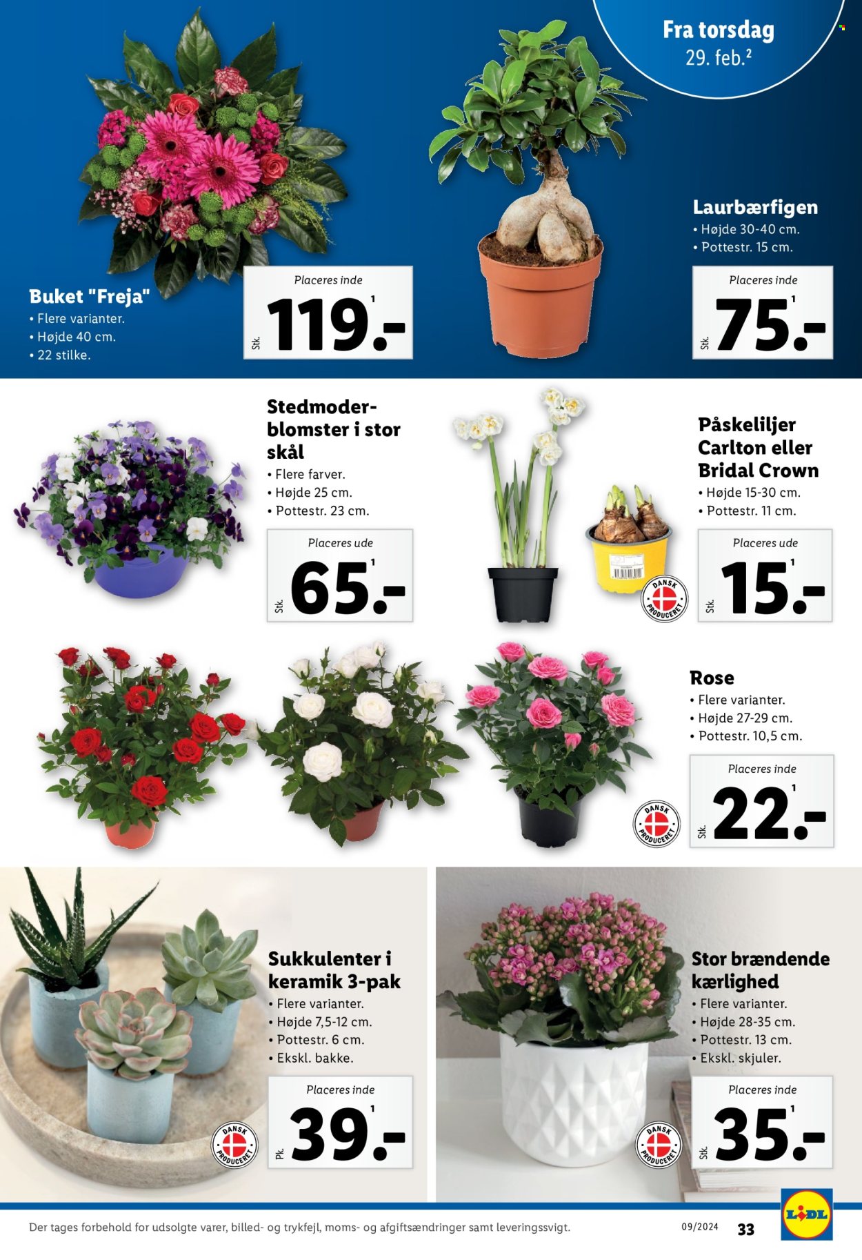 Lidl tilbud - 25.2.2024 - 2.3.2024. Side 33