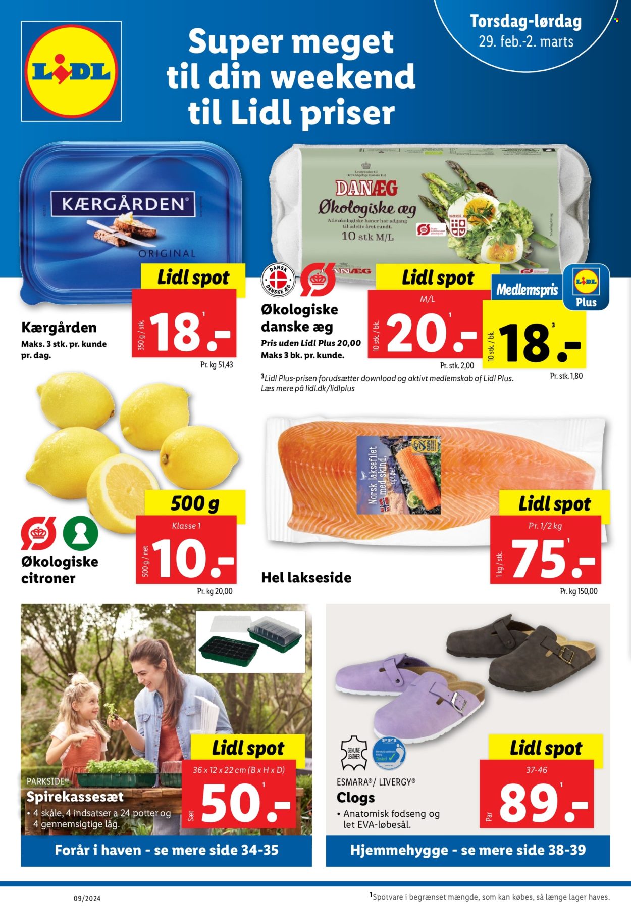 Lidl tilbud - 25.2.2024 - 2.3.2024. Side 40