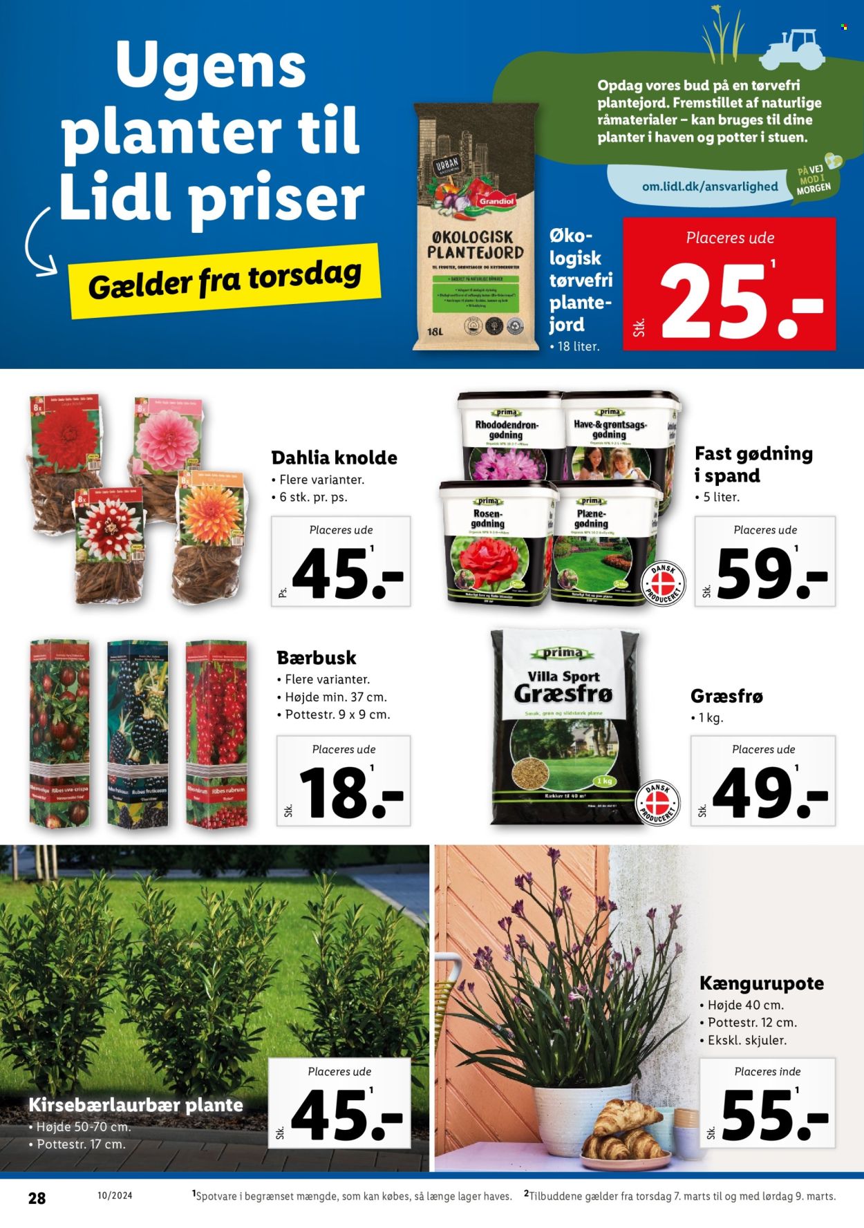 Lidl tilbud - 3.3.2024 - 9.3.2024. Side 28