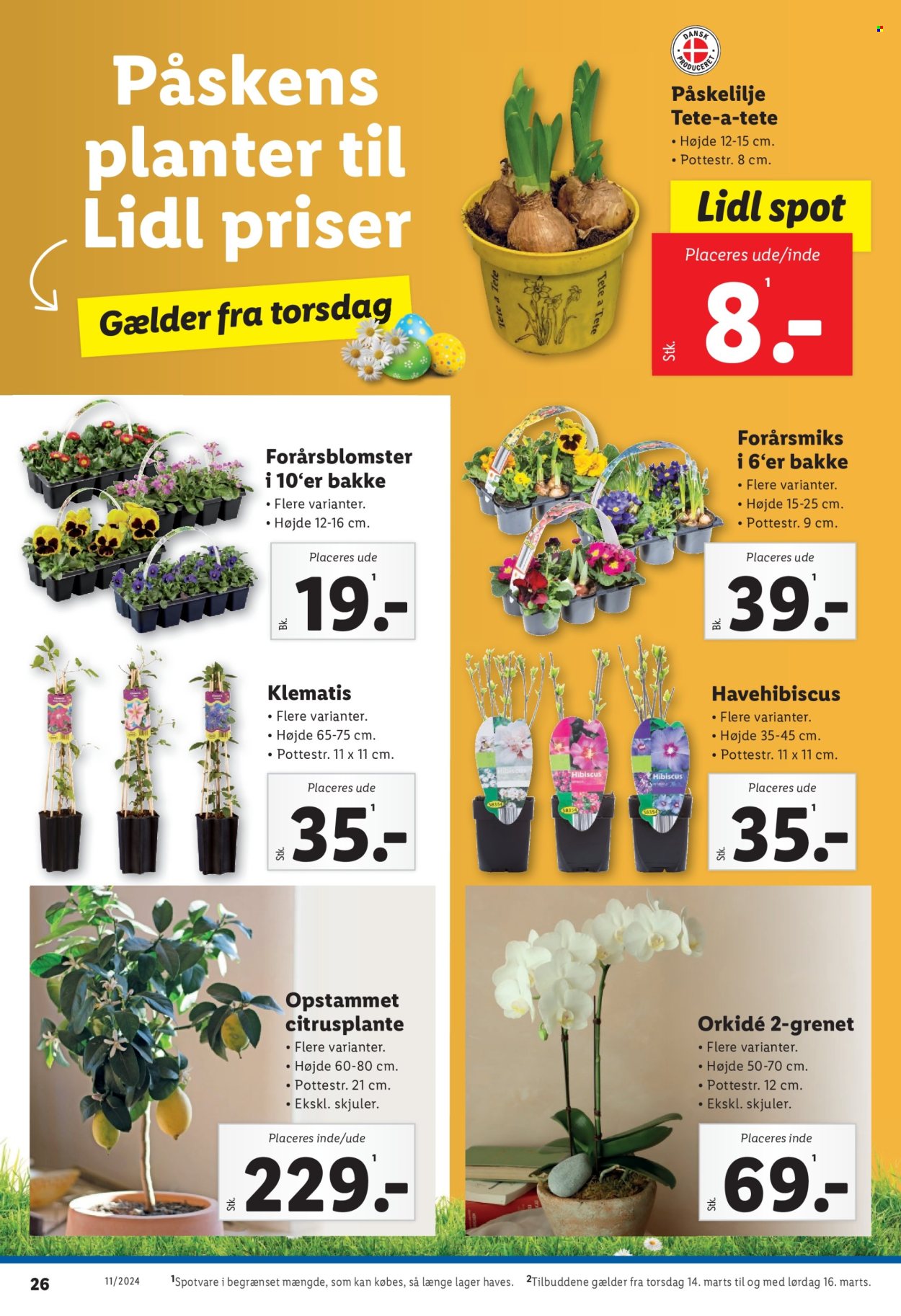 Lidl tilbud - 10.3.2024 - 16.3.2024. Side 26