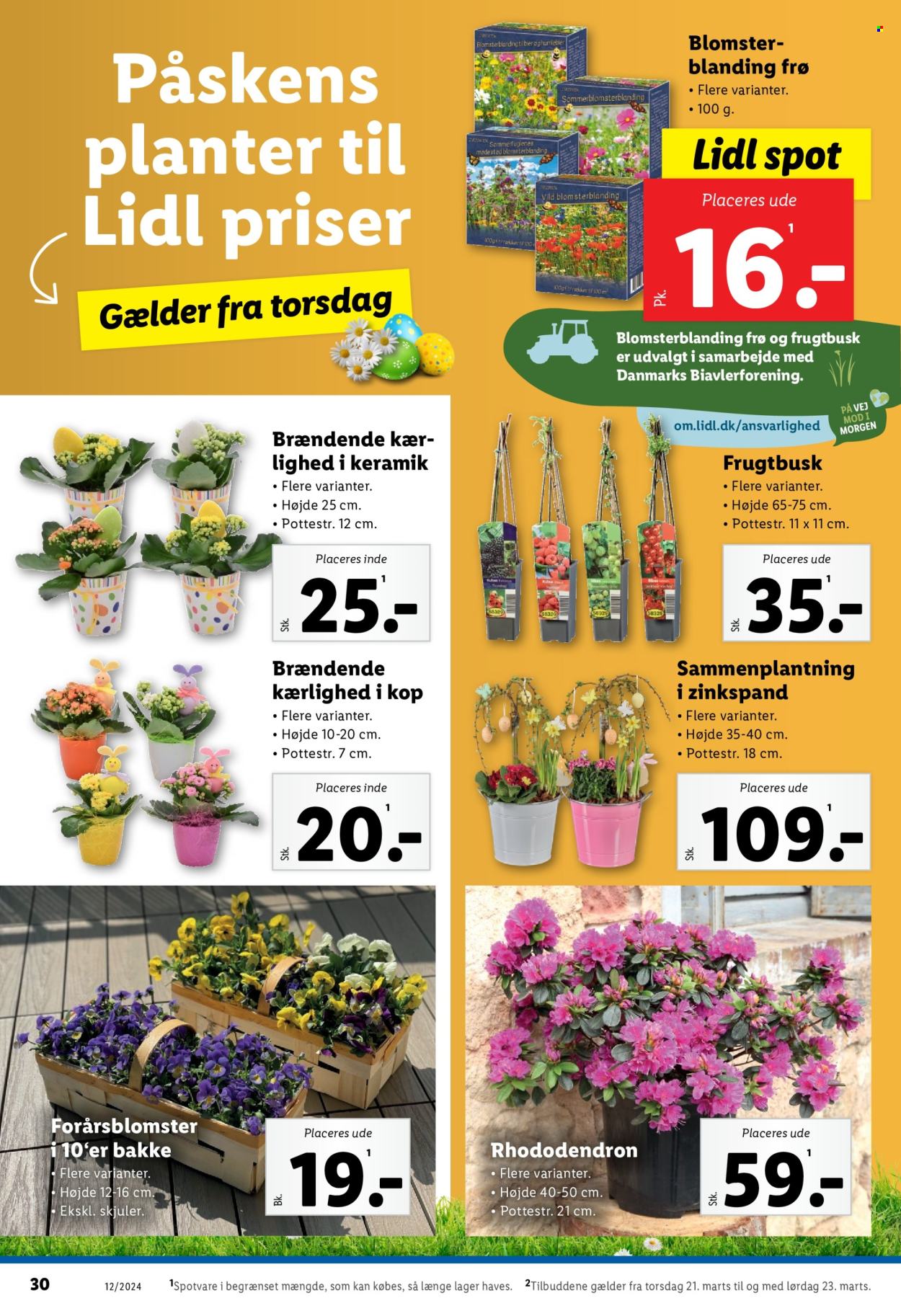 Lidl tilbud - 17.3.2024 - 23.3.2024. Side 30