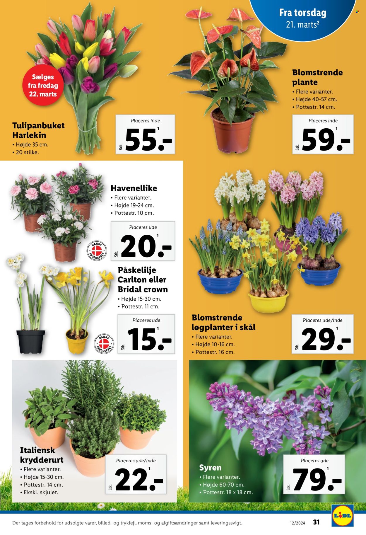 Lidl tilbud - 17.3.2024 - 23.3.2024. Side 31