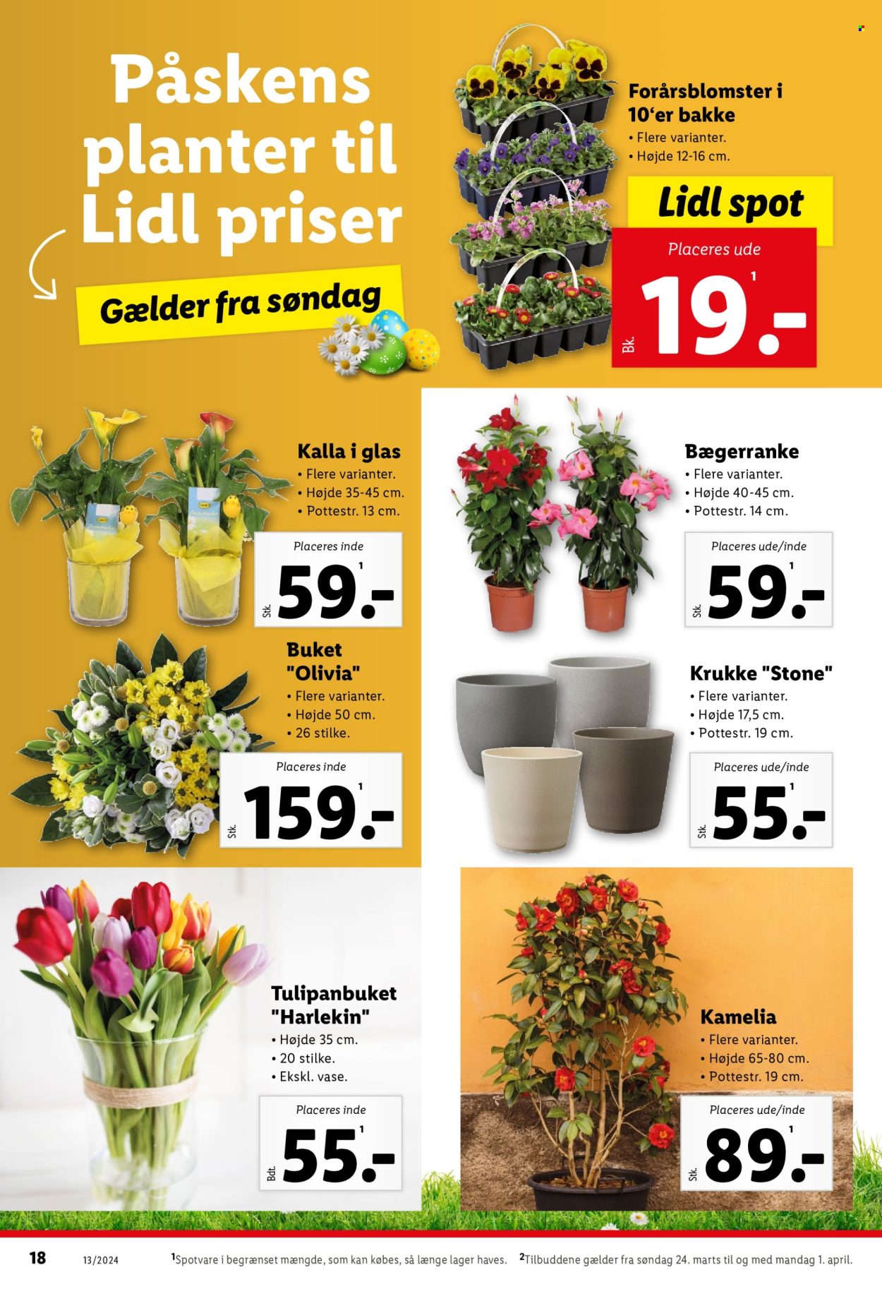 Lidl tilbud - 24.3.2024 - 1.4.2024. Side 18