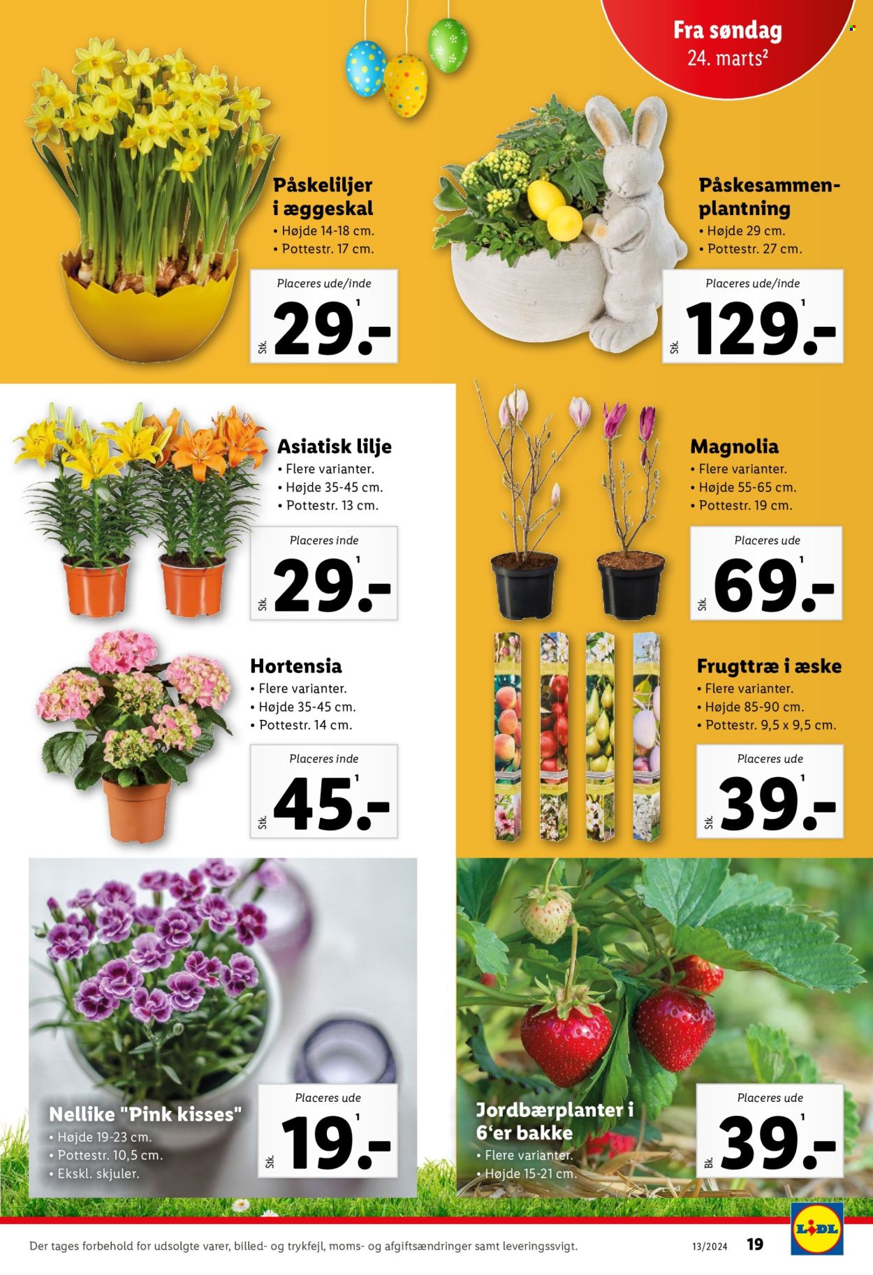 Lidl tilbud - 24.3.2024 - 1.4.2024. Side 19