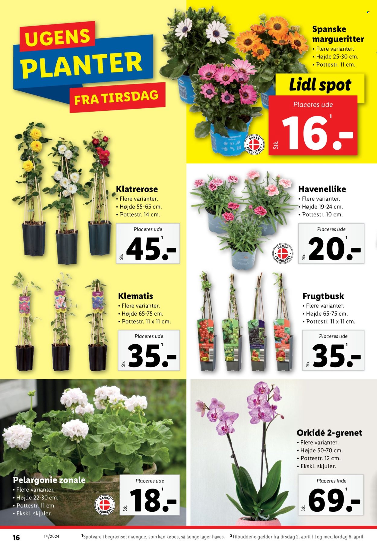Lidl tilbud - 2.4.2024 - 6.4.2024. Side 16