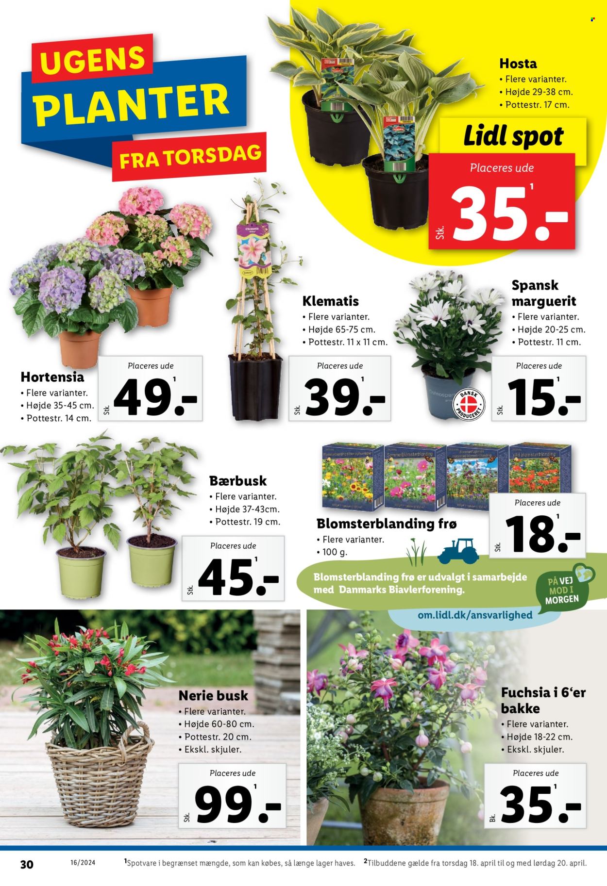 Lidl tilbud - 14.4.2024 - 20.4.2024. Side 32