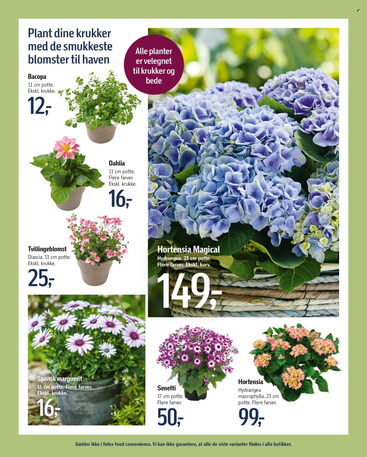 føtex tilbud - 12.4.2024 - 25.4.2024. Side 40