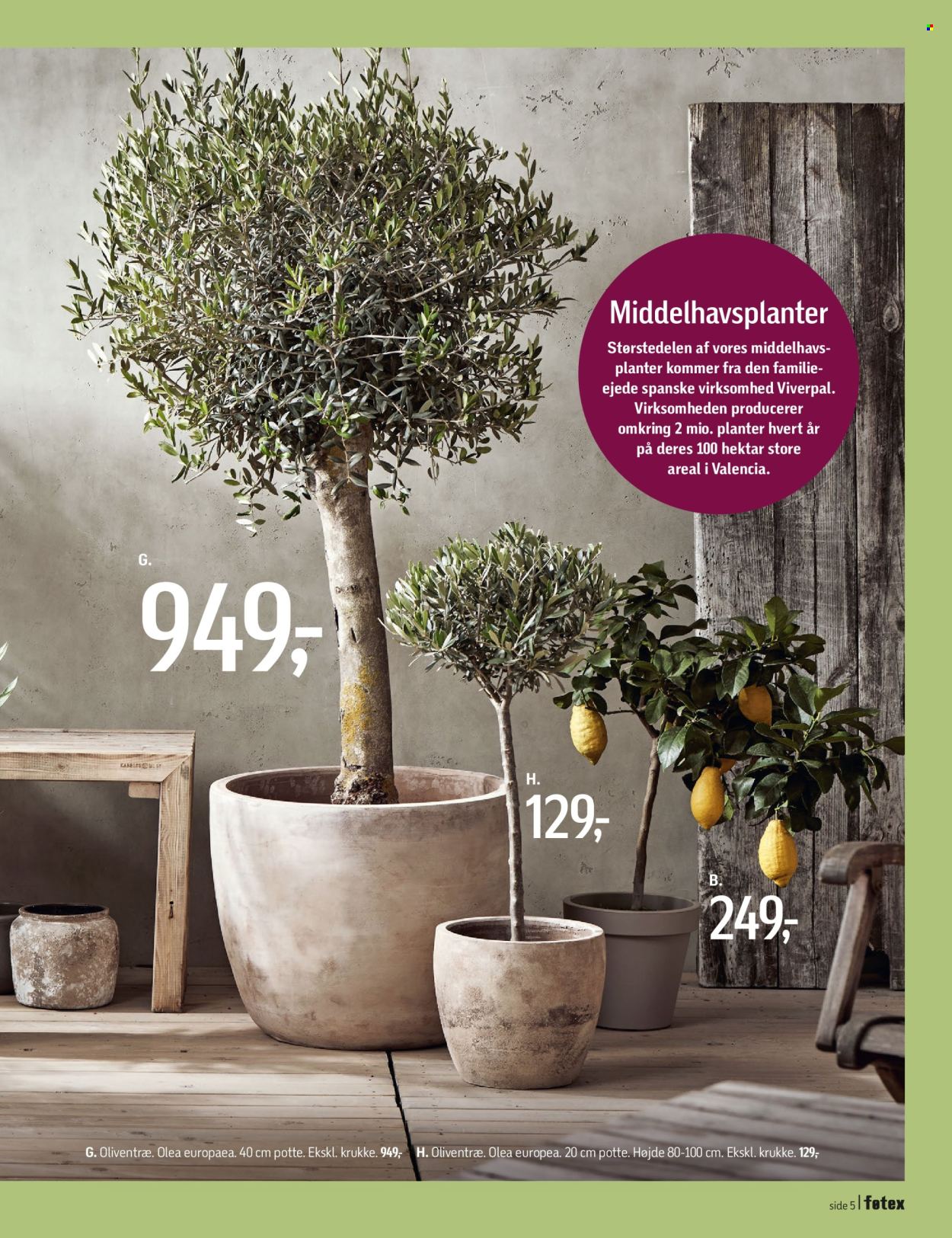 føtex tilbud - 12.4.2024 - 16.5.2024. Side 5