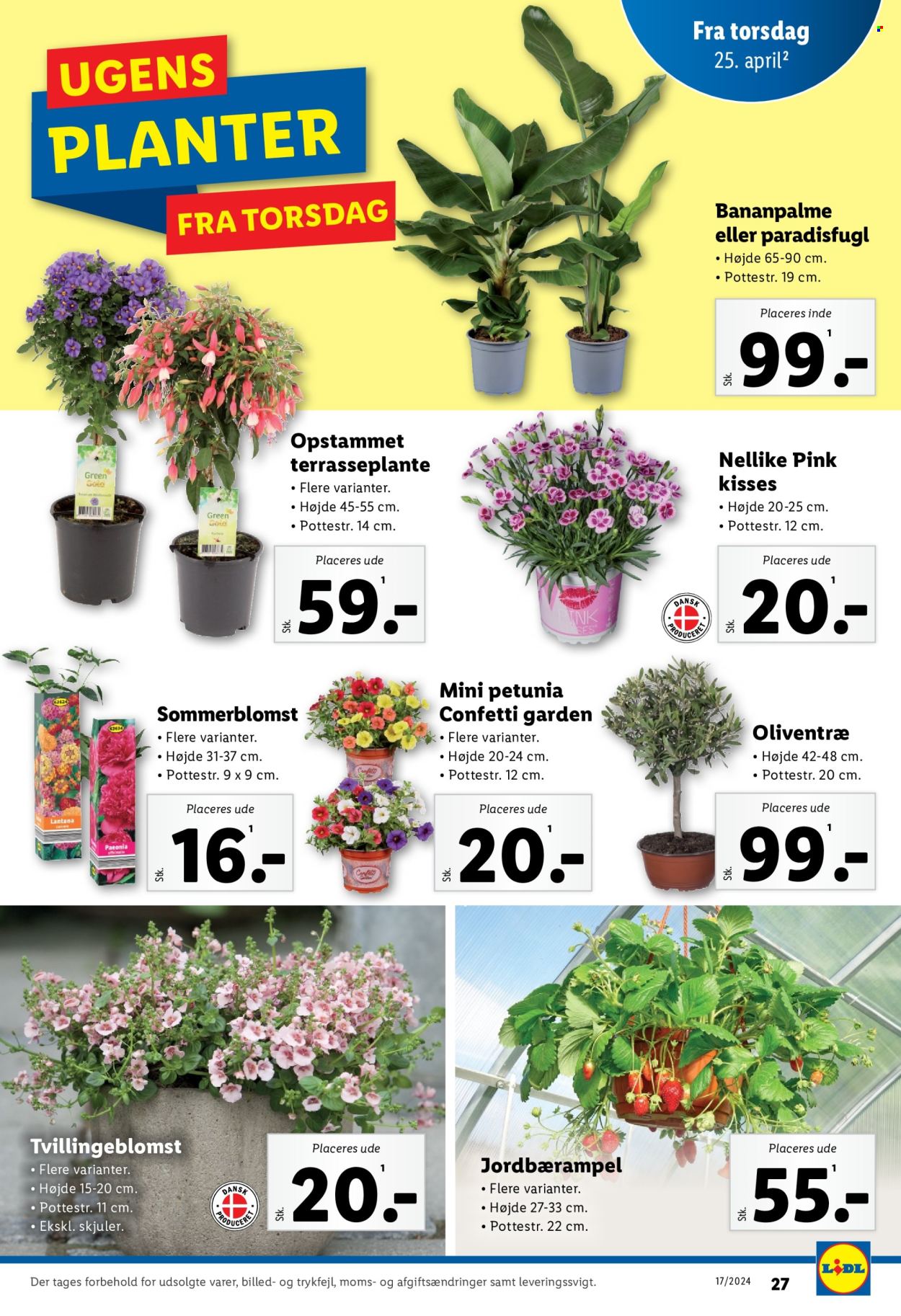 Lidl tilbud - 21.4.2024 - 27.4.2024. Side 27