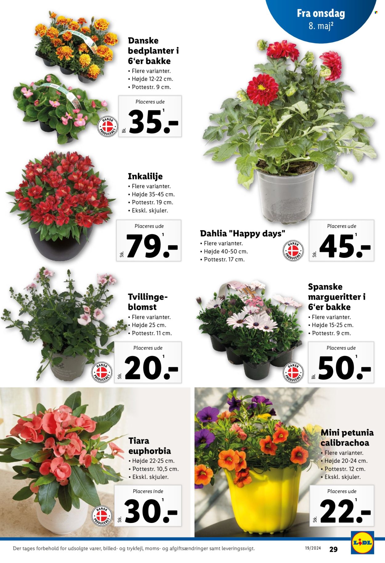 Lidl tilbud - 5.5.2024 - 11.5.2024. Side 31