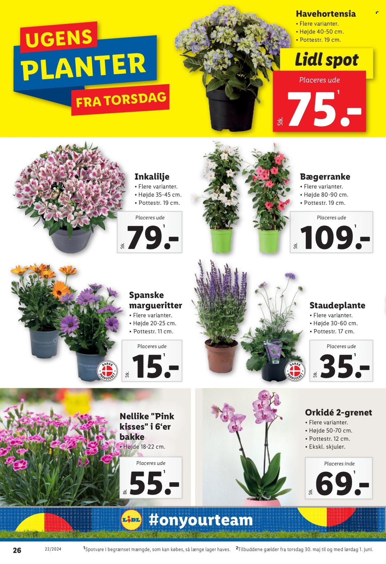 Lidl tilbud - 26.5.2024 - 1.6.2024. Side 28