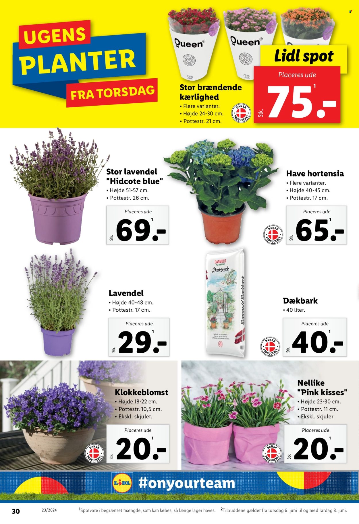 Lidl tilbud - 2.6.2024 - 8.6.2024. Side 32