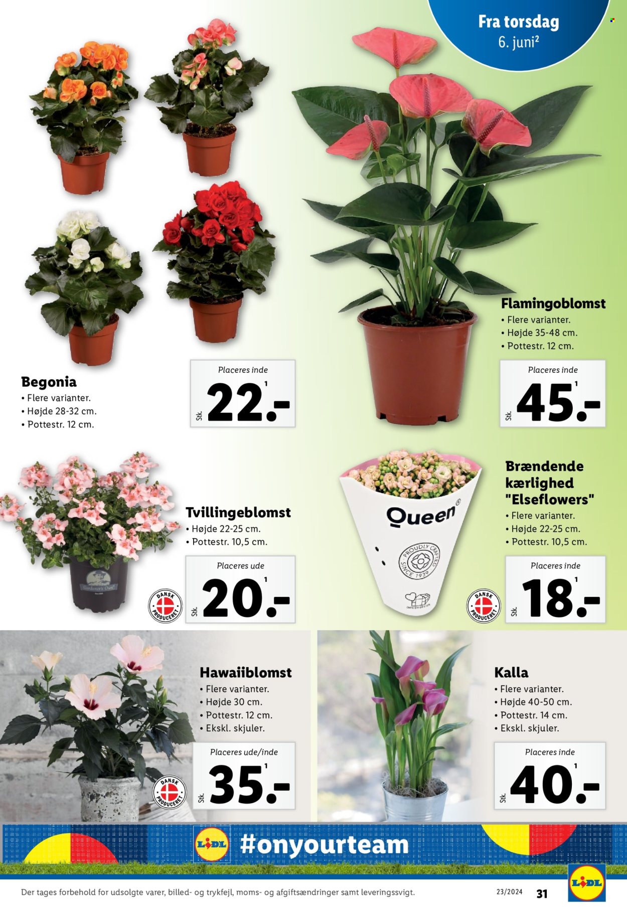 Lidl tilbud - 2.6.2024 - 8.6.2024. Side 33