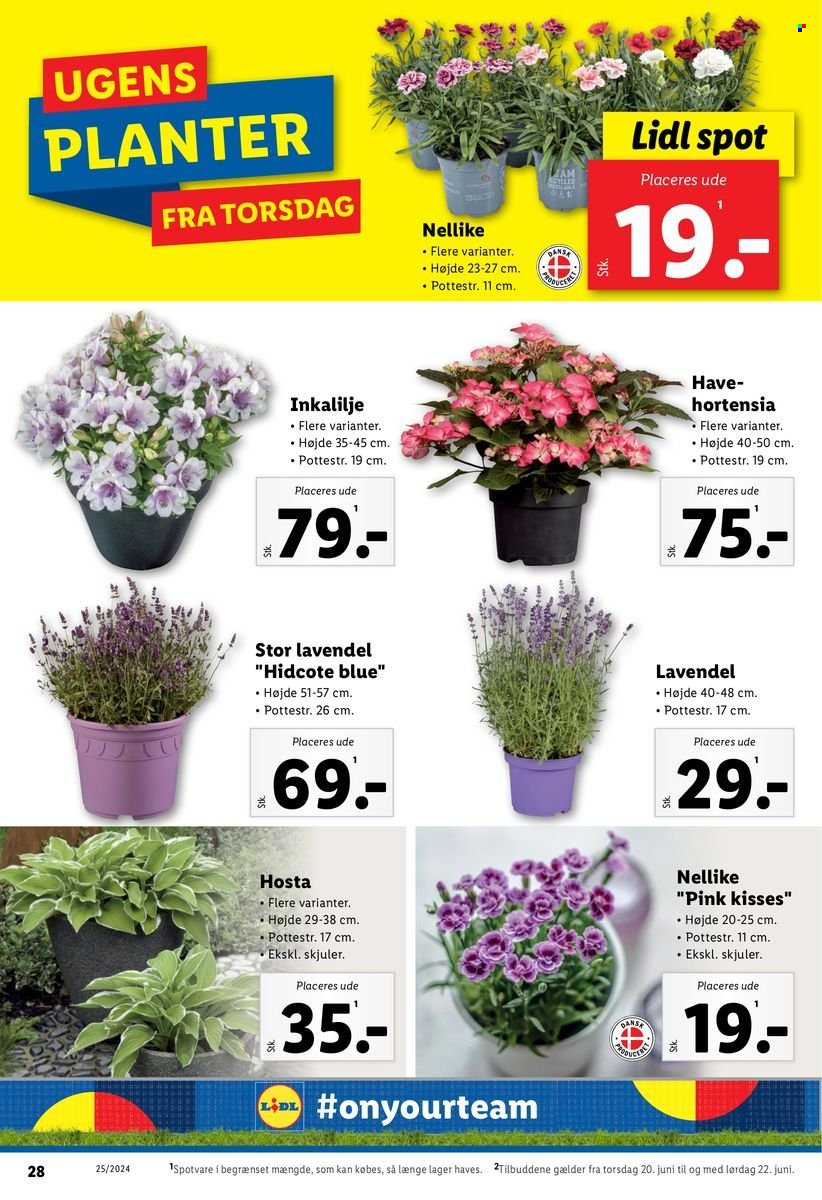 Lidl tilbud - 16.6.2024 - 22.6.2024. Side 28