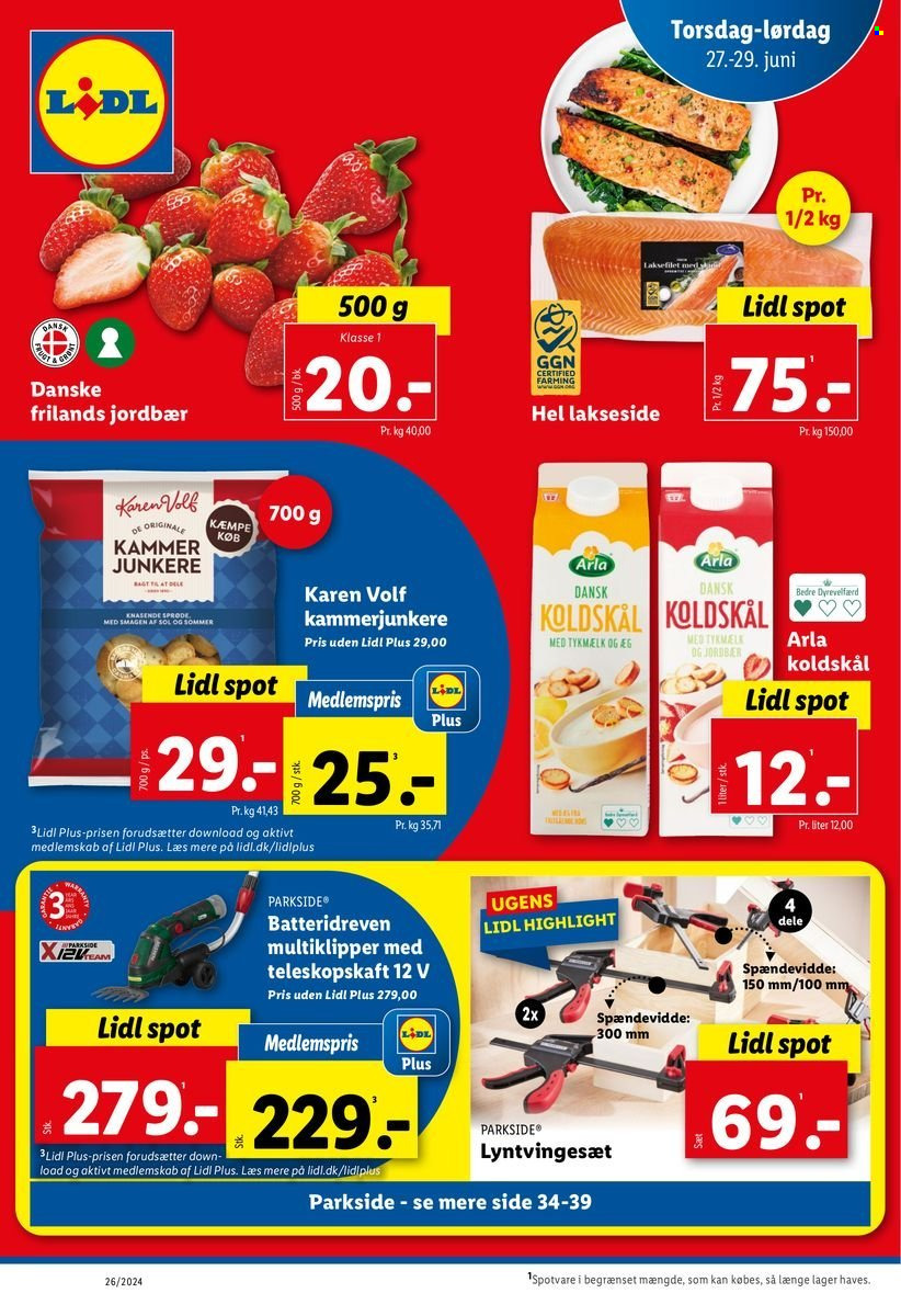 Lidl tilbud - 23.6.2024 - 29.6.2024. Side 40