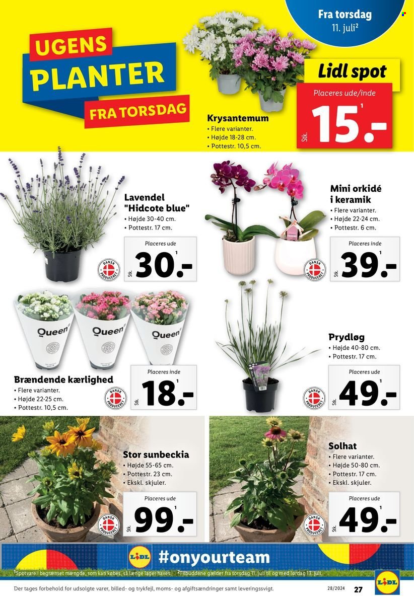 Lidl tilbud - 7.7.2024 - 13.7.2024. Side 11