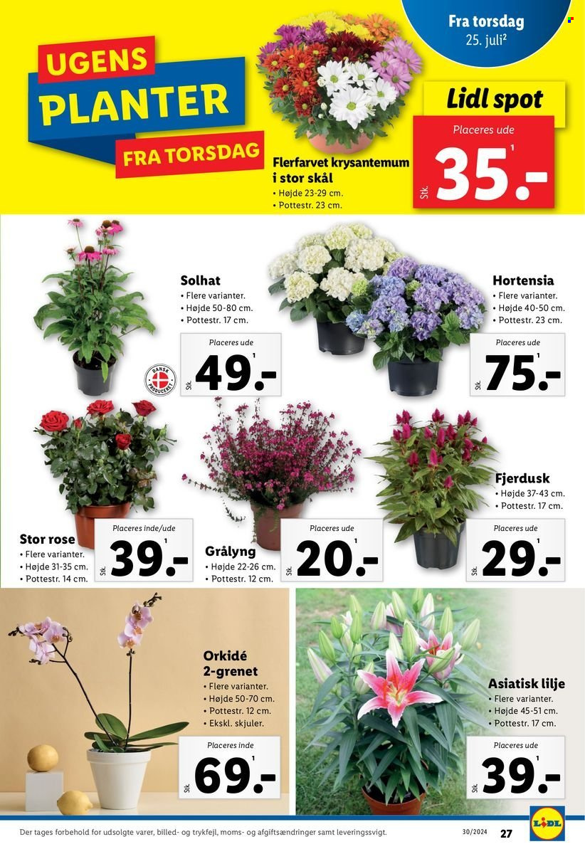 Lidl tilbud - 21.7.2024 - 27.7.2024. Side 27