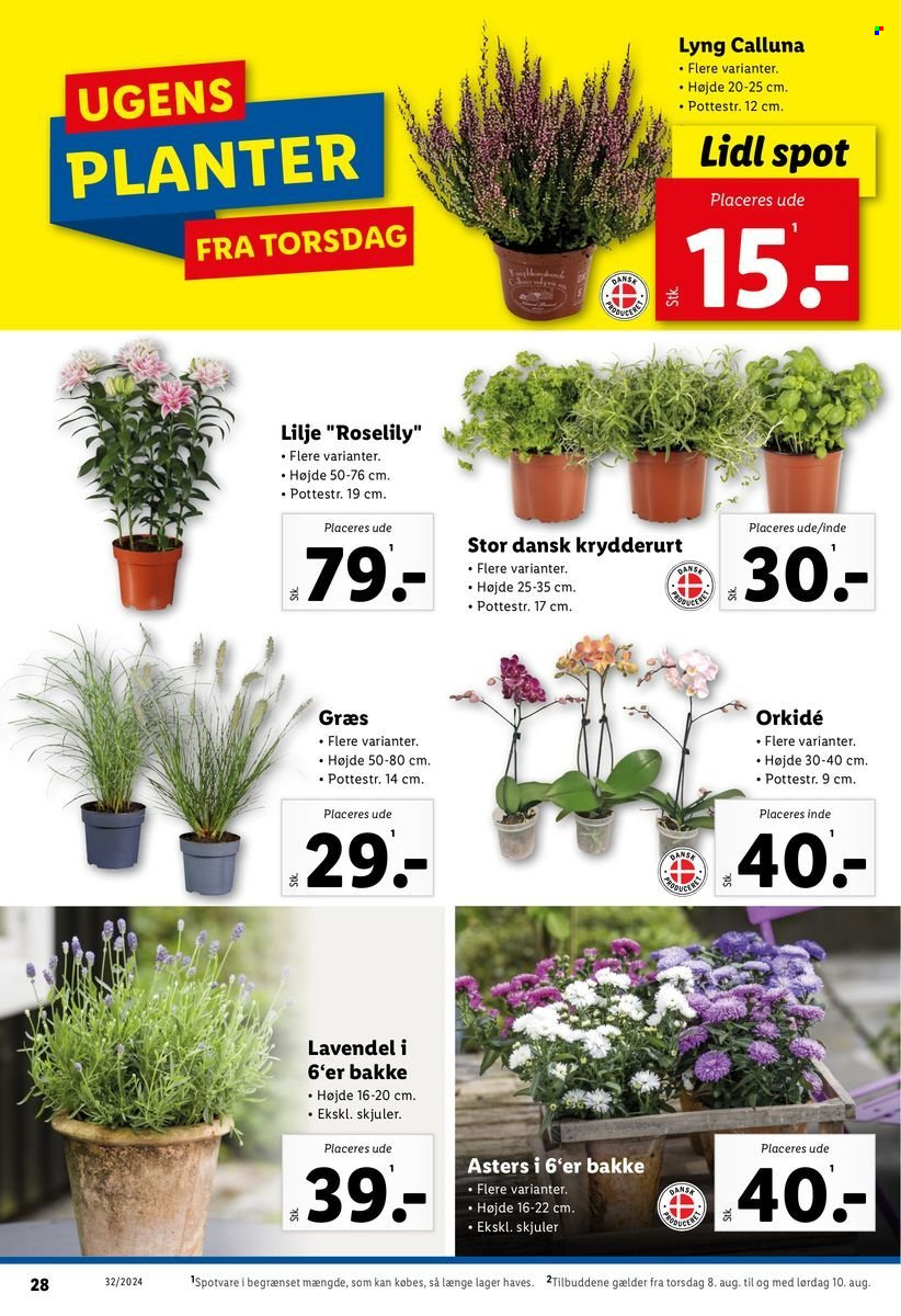 Lidl tilbud - 4.8.2024 - 10.8.2024. Side 28