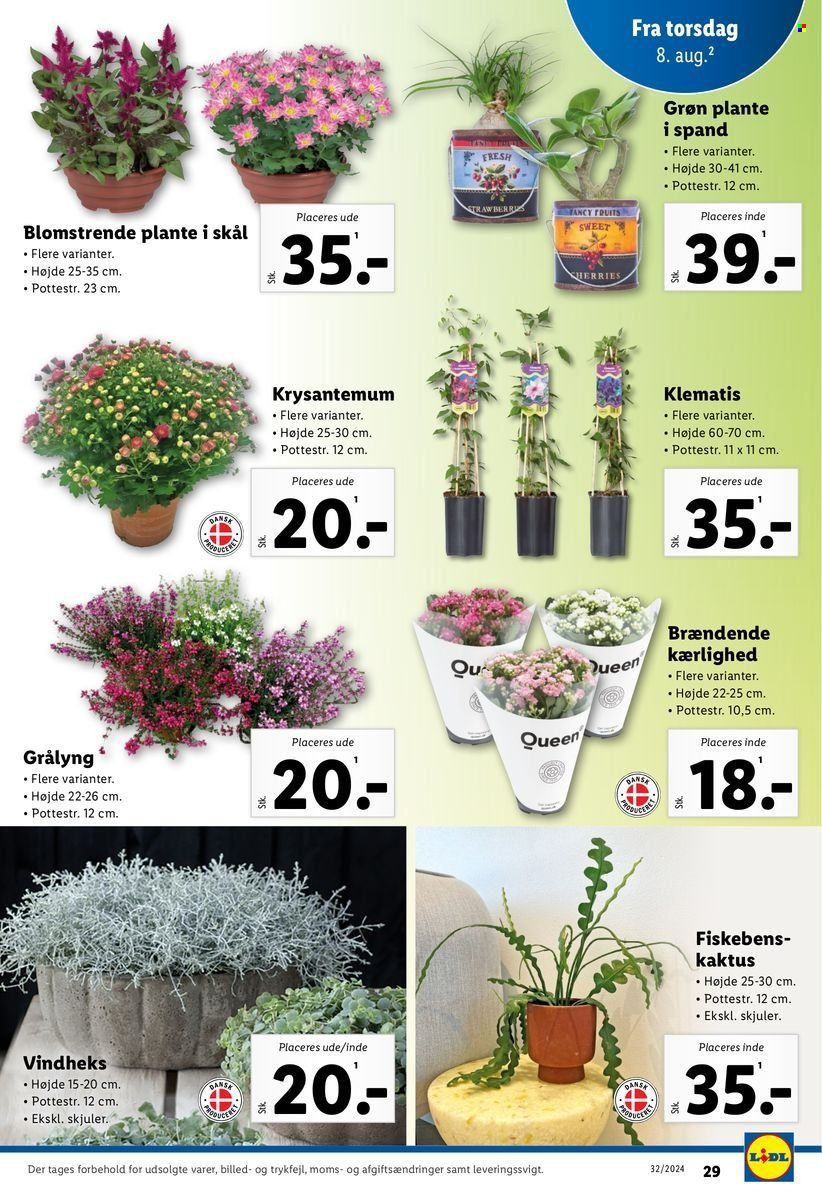 Lidl tilbud - 4.8.2024 - 10.8.2024. Side 29