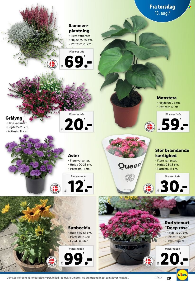 Lidl tilbud - 11.8.2024 - 17.8.2024. Side 29