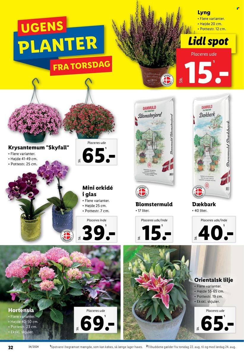 Lidl tilbud - 18.8.2024 - 24.8.2024. Side 32