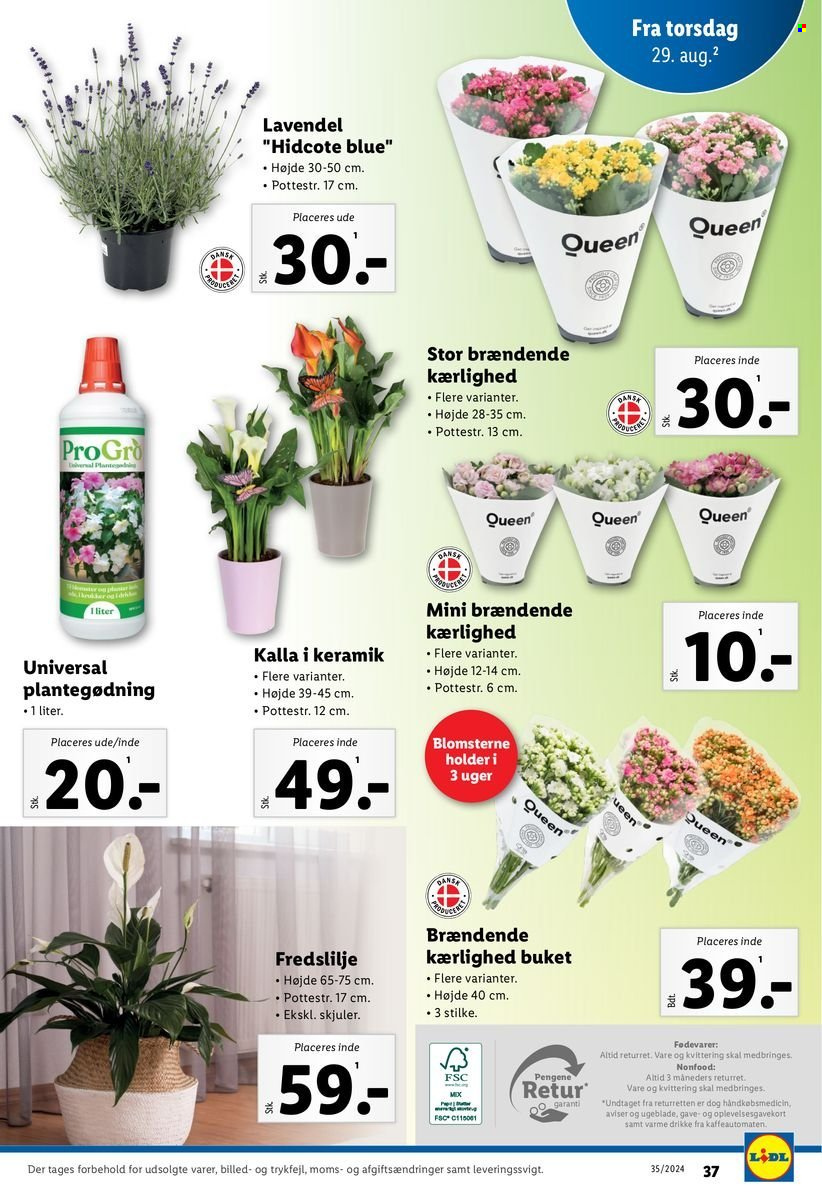 Lidl tilbud - 25.8.2024 - 31.8.2024. Side 37