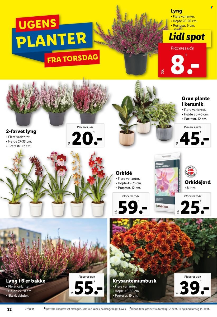 Lidl tilbud - 8.9.2024 - 14.9.2024. Side 32