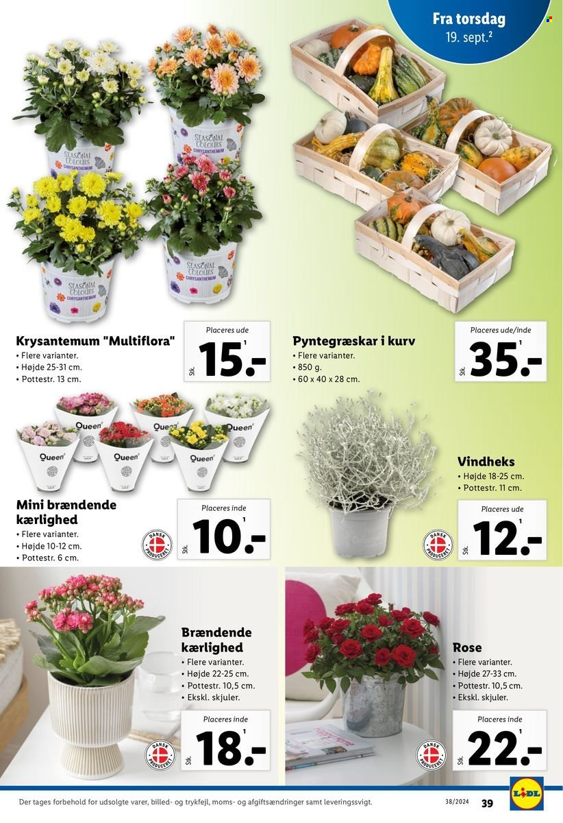 Lidl tilbud - 15.9.2024 - 21.9.2024. Side 39