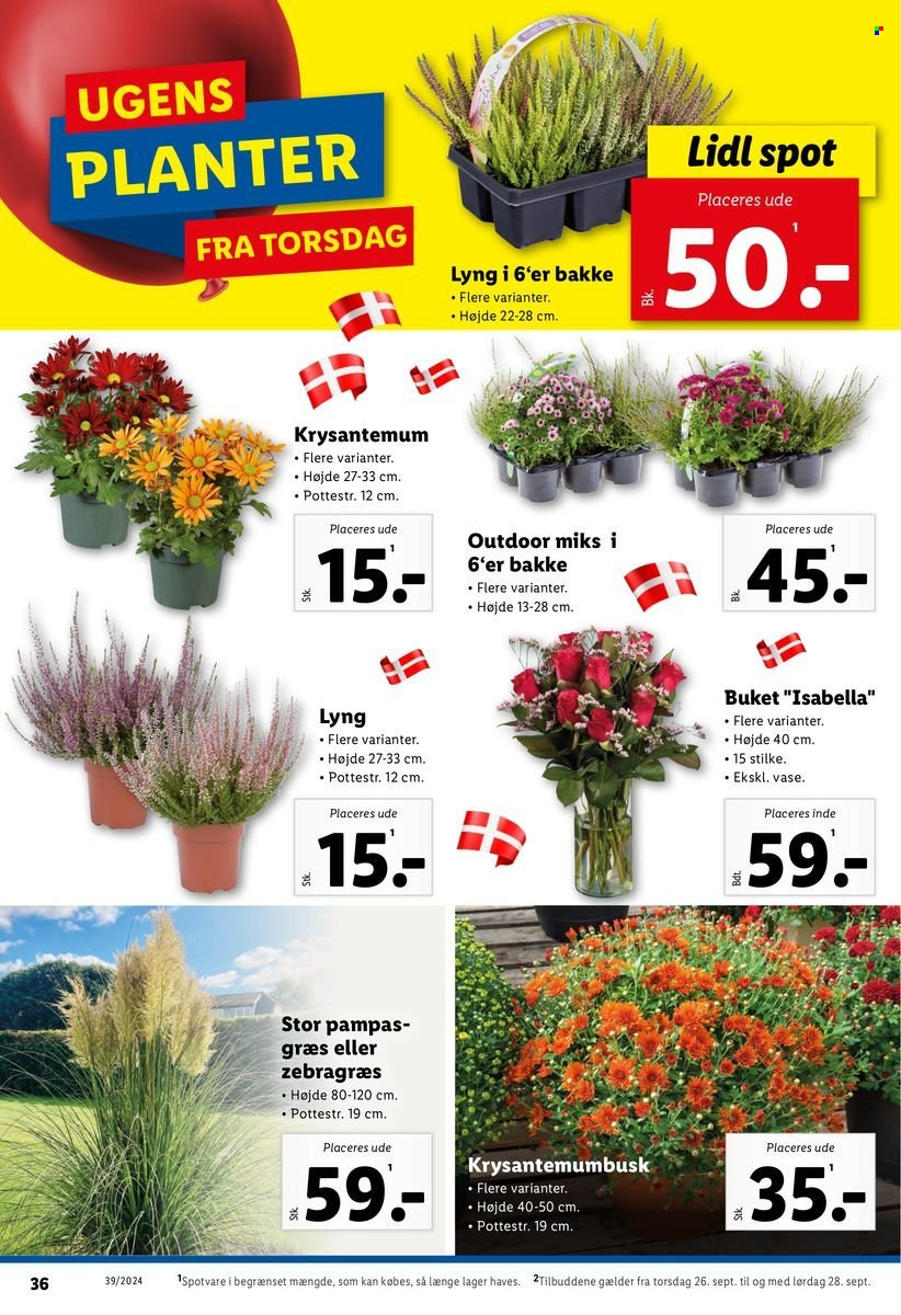Lidl tilbud - 22.9.2024 - 28.9.2024. Side 36
