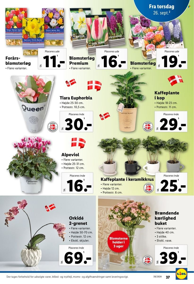 Lidl tilbud - 22.9.2024 - 28.9.2024. Side 37