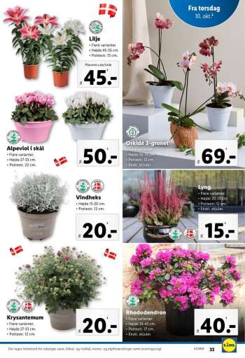 thumbnail - Lyng Højde 20-25 cm.