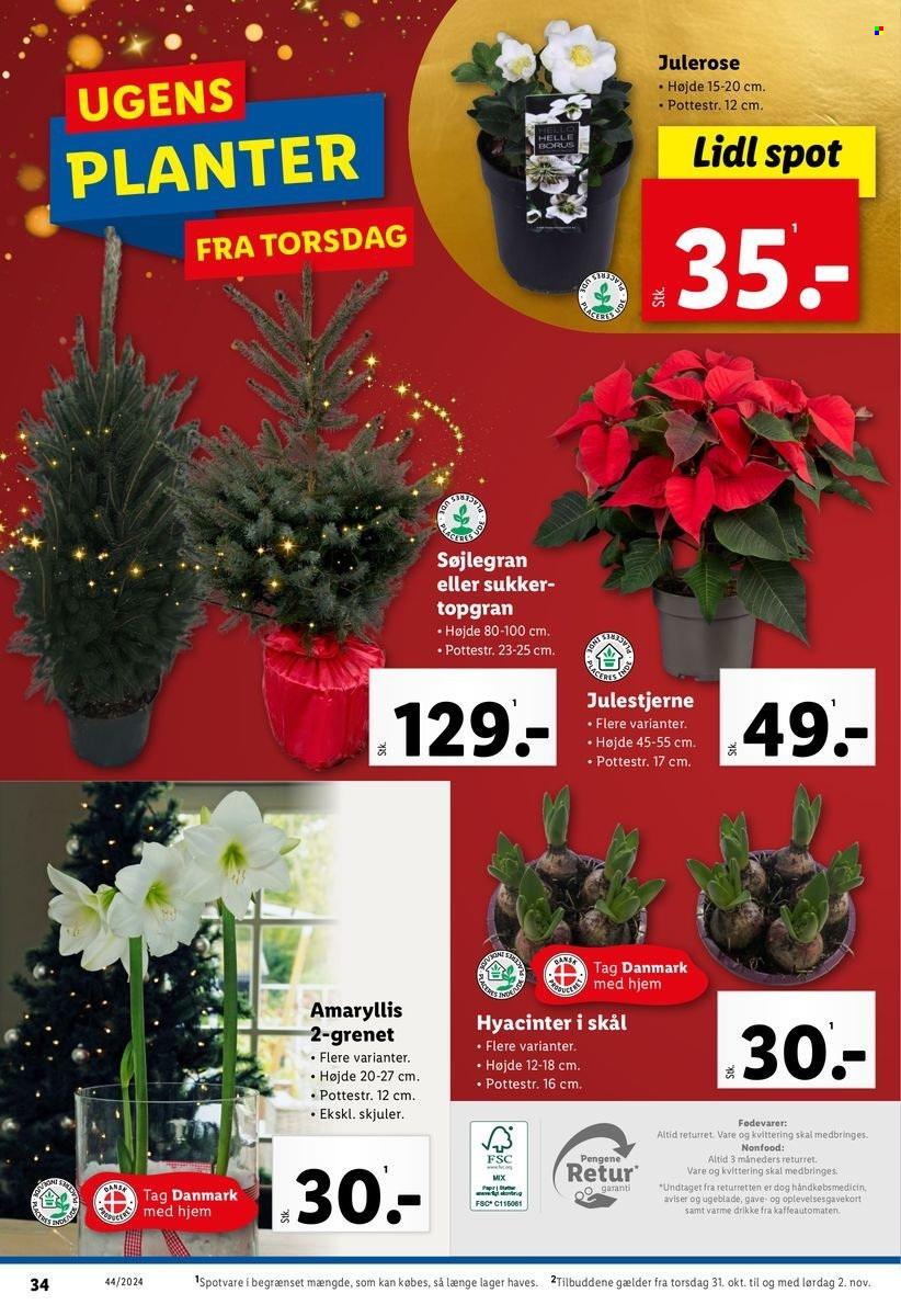 Lidl tilbud - 27.10.2024 - 2.11.2024. Side 34