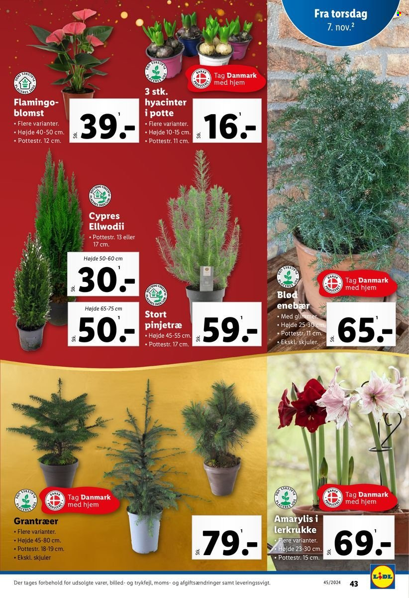 Lidl tilbud - 3.11.2024 - 9.11.2024. Side 43