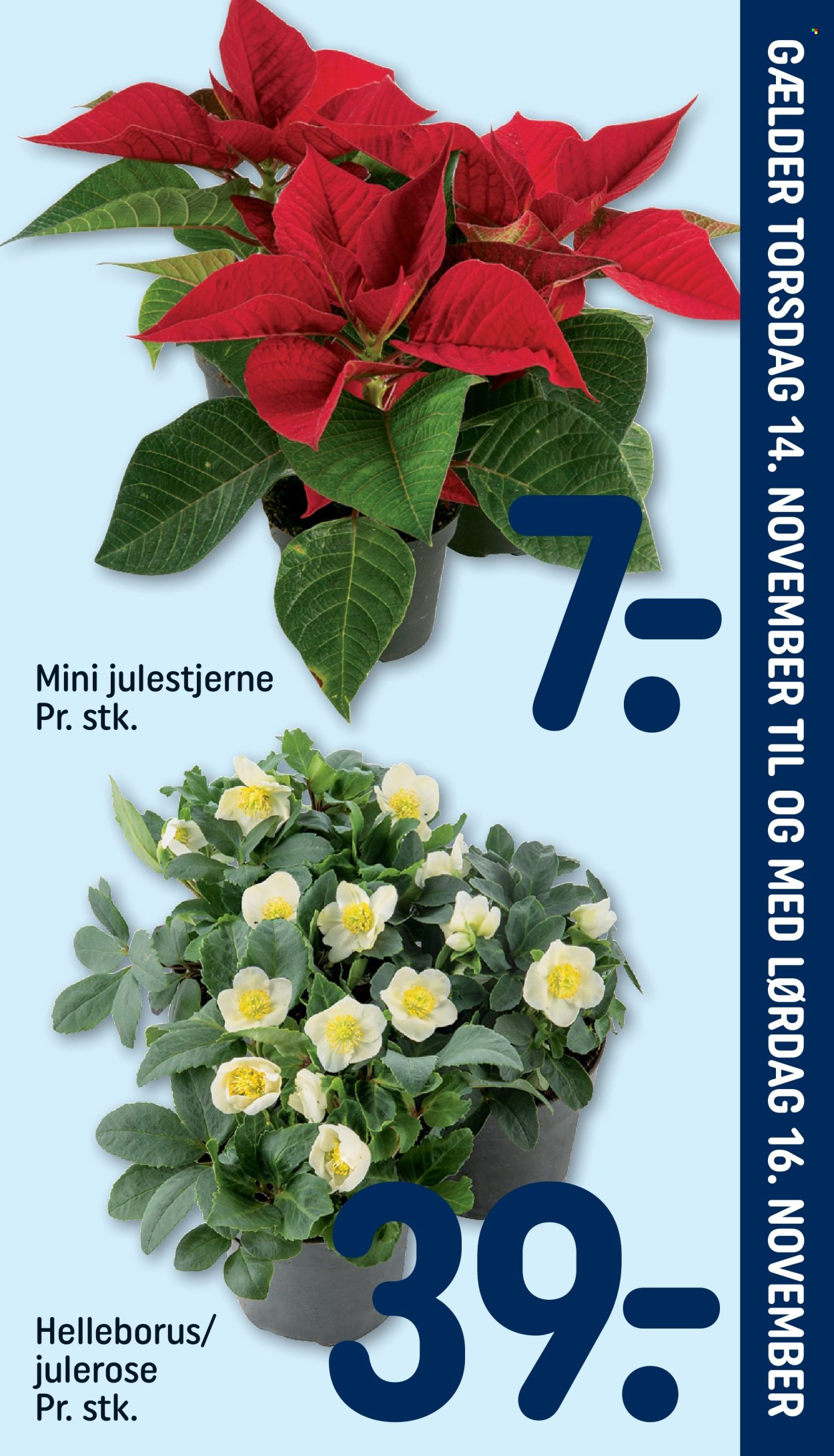 Rema 1000 tilbud - 10.11.2024 - 16.11.2024. Side 25
