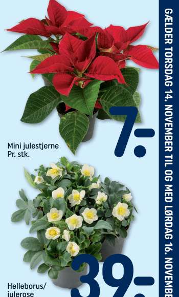 Rema 1000 tilbudsavis  - 14.11.2024 - 16.11.2024.