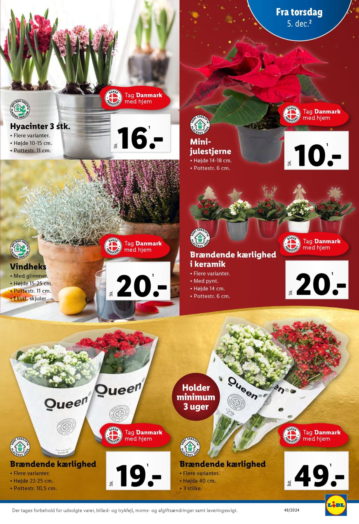 Lidl tilbud - 1.12.2024 - 7.12.2024. Side 33