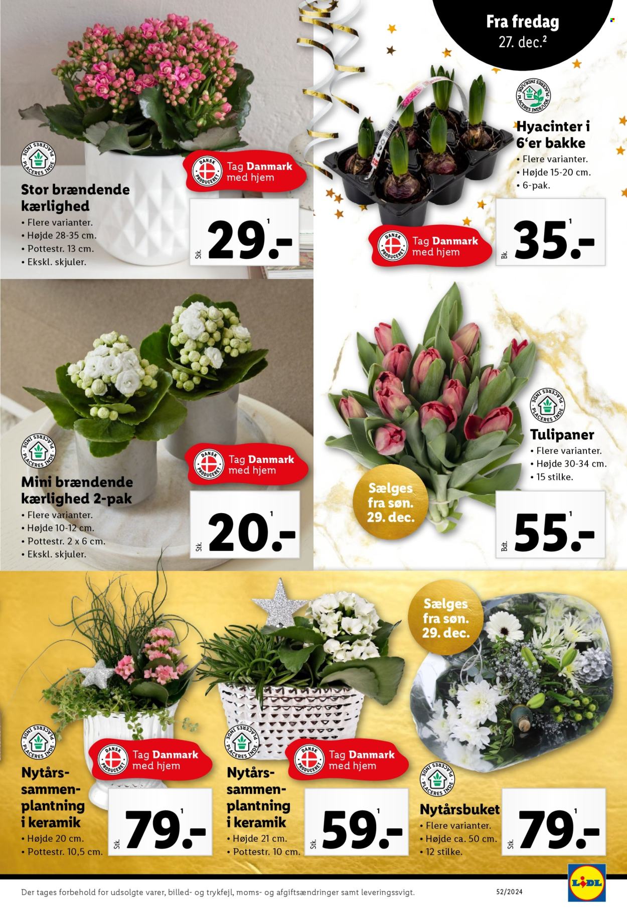 Lidl tilbud - 27.12.2024 - 31.12.2024. Side 21