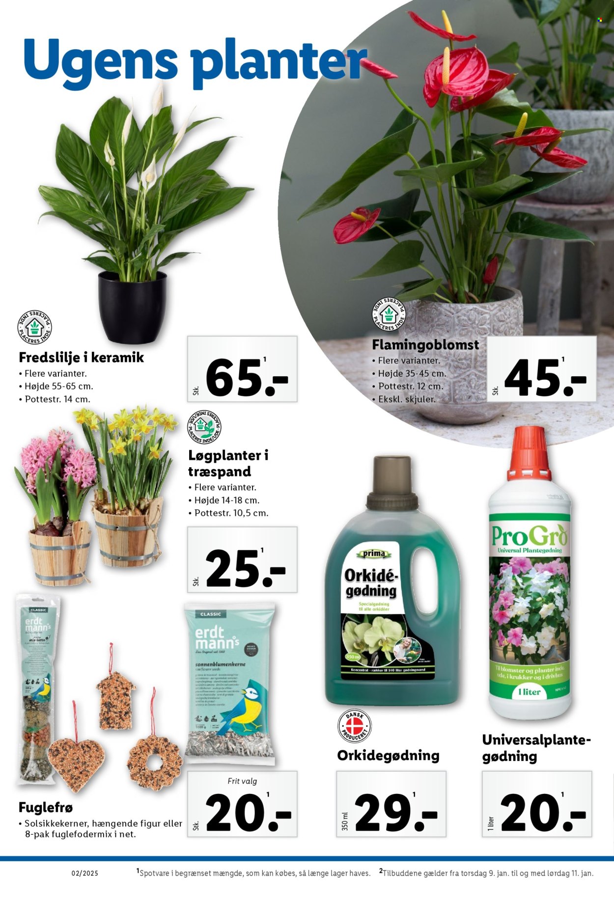Lidl tilbud - 5.1.2025 - 11.1.2025. Side 28