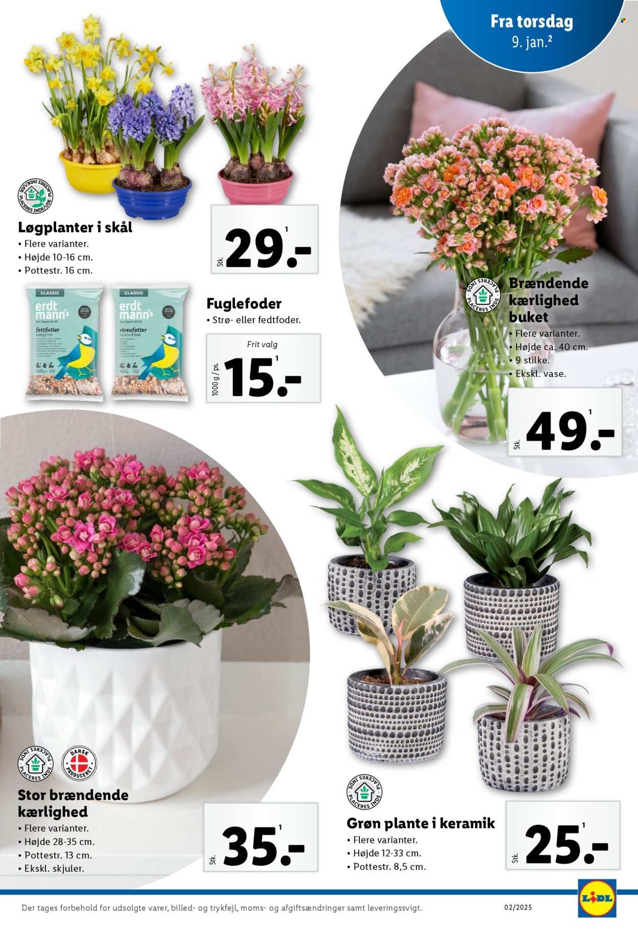 Lidl tilbud - 5.1.2025 - 11.1.2025. Side 29