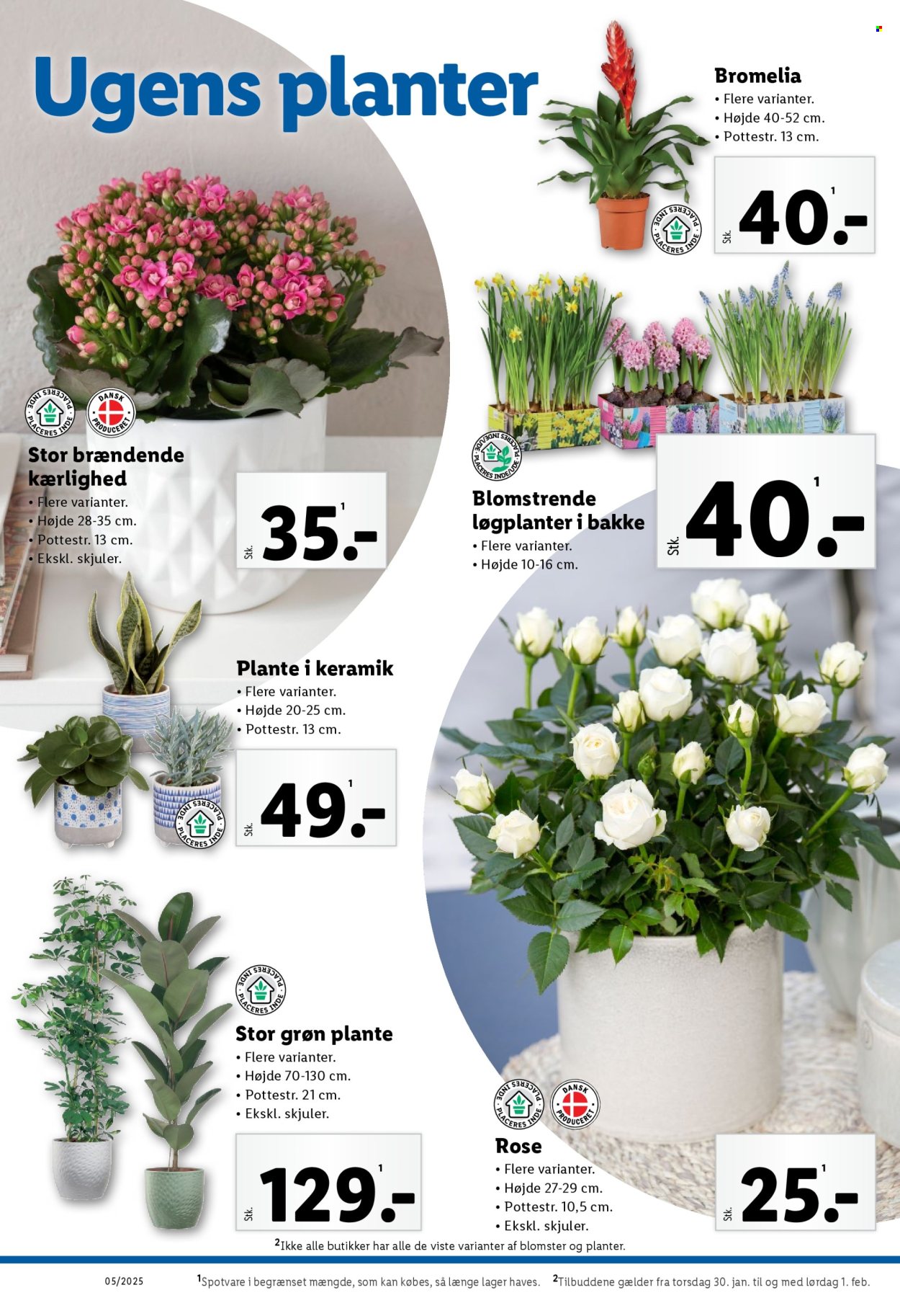 Lidl tilbud - 26.1.2025 - 1.2.2025. Side 34