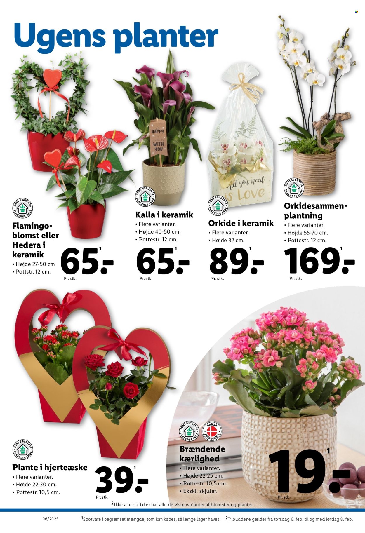 Lidl tilbud - 2.2.2025 - 8.2.2025. Side 34