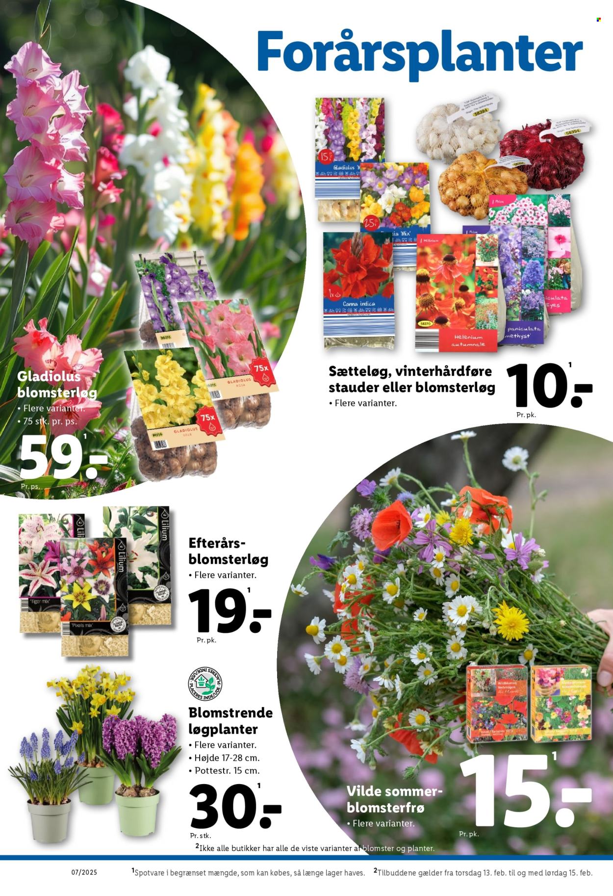 Lidl tilbud - 9.2.2025 - 15.2.2025. Side 30