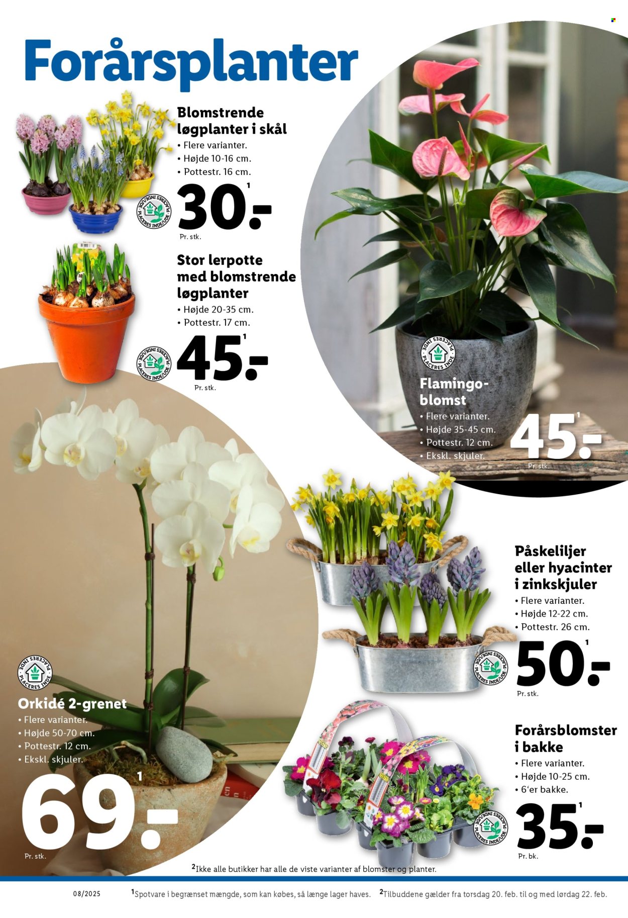 Lidl tilbud - 16.2.2025 - 22.2.2025. Side 30