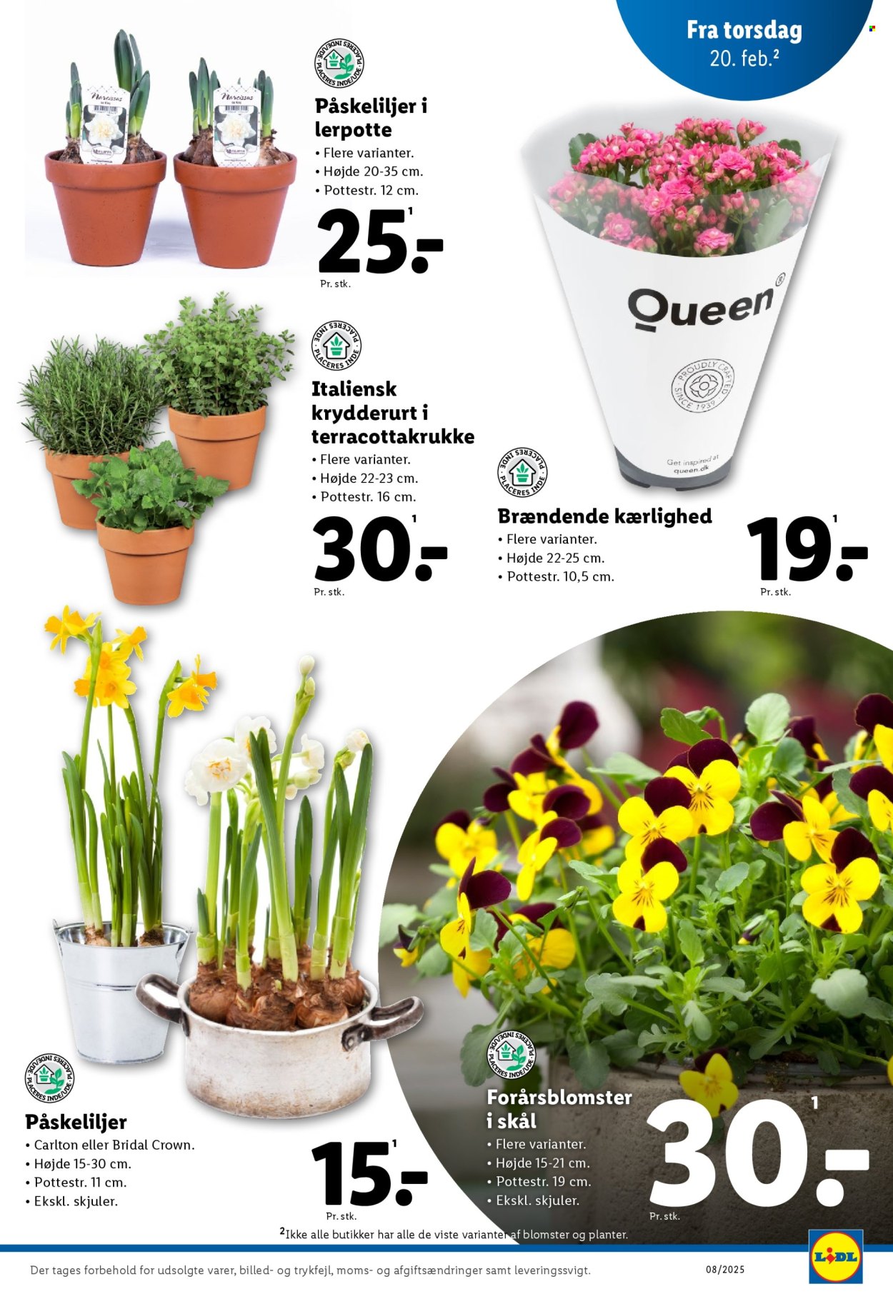 Lidl tilbud - 16.2.2025 - 22.2.2025. Side 31