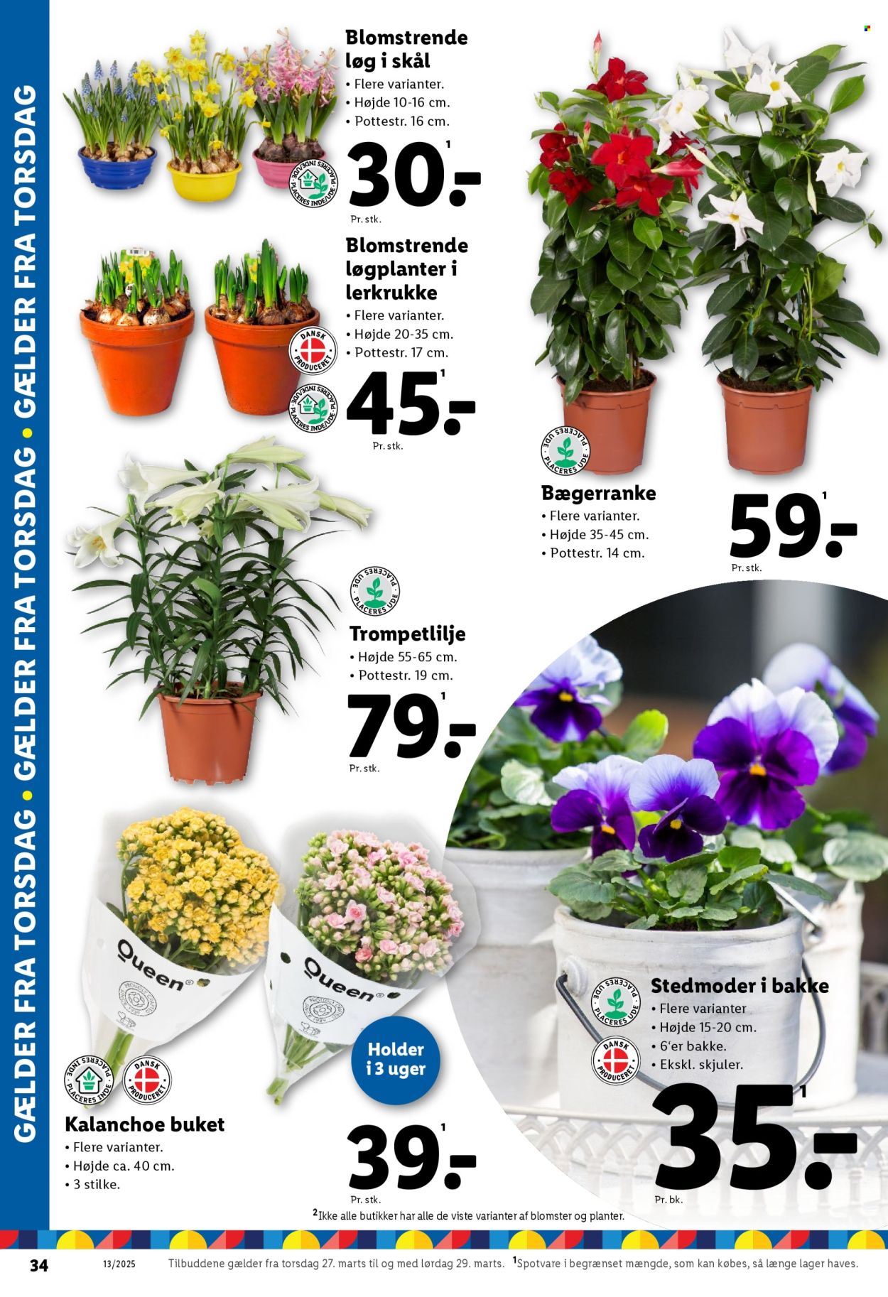 Lidl tilbud - 23.3.2025 - 29.3.2025. Side 34