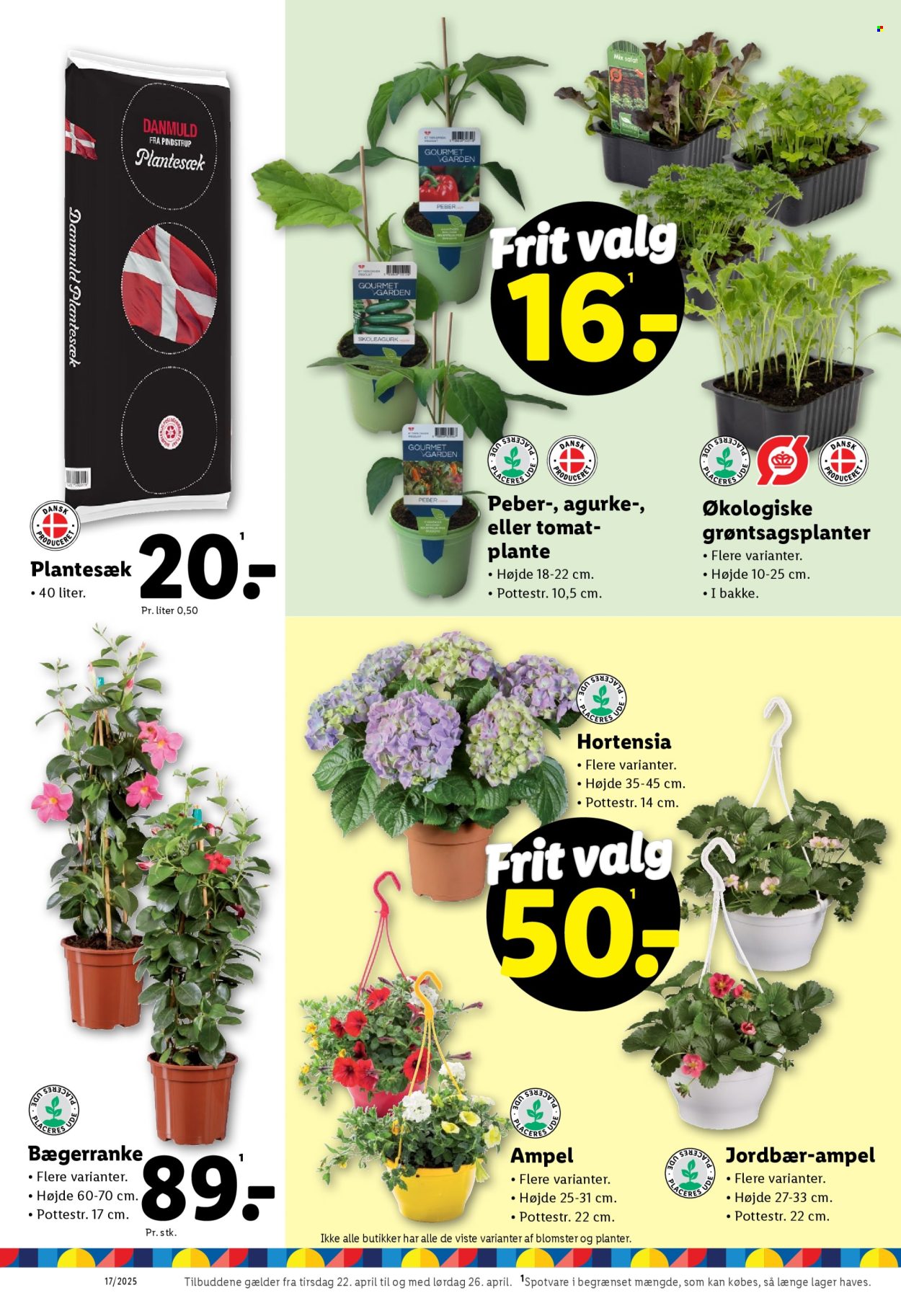 Lidl tilbud - 22.4.2025 - 26.4.2025. Side 26