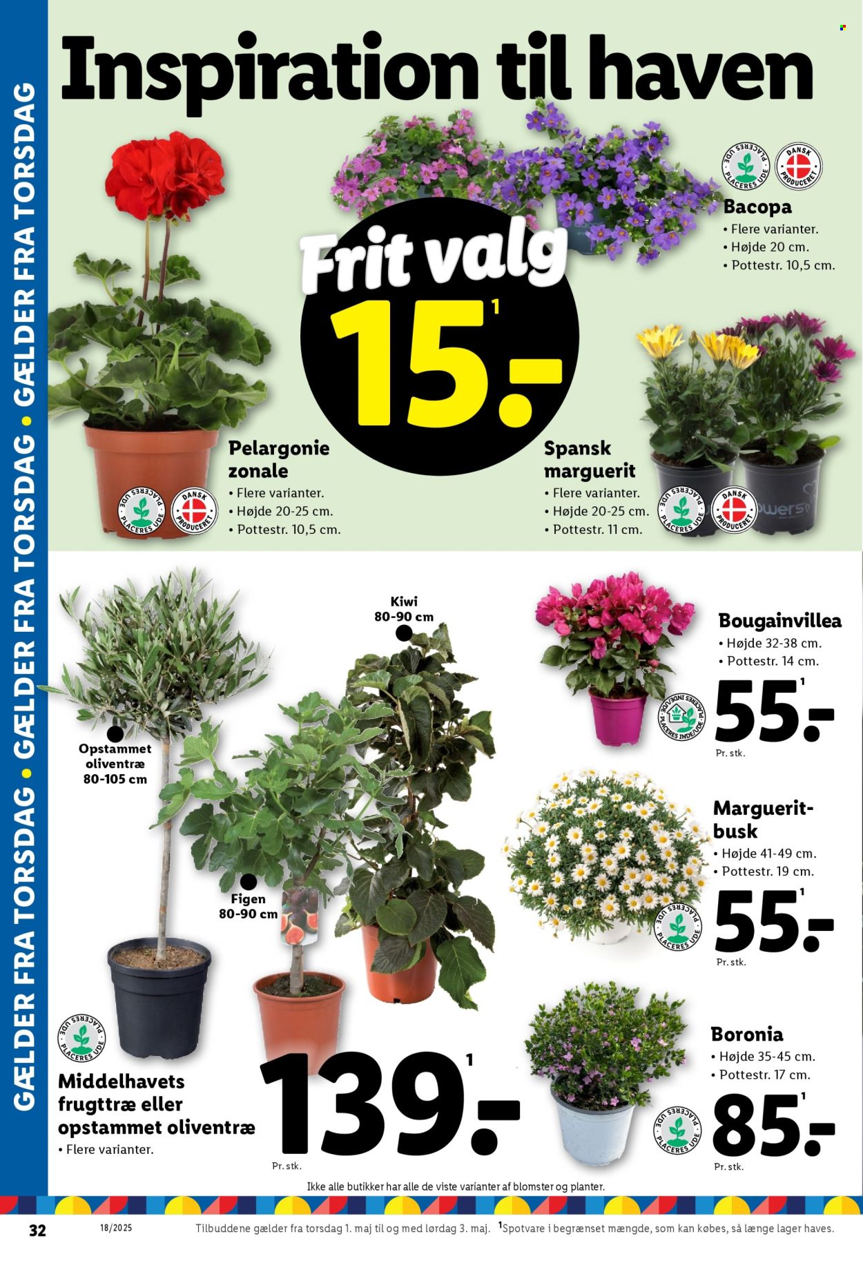 Lidl tilbud - 1.5.2025 - 3.5.2025. Side 10
