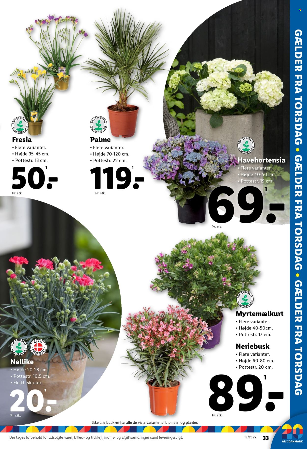 Lidl tilbud - 1.5.2025 - 3.5.2025. Side 11