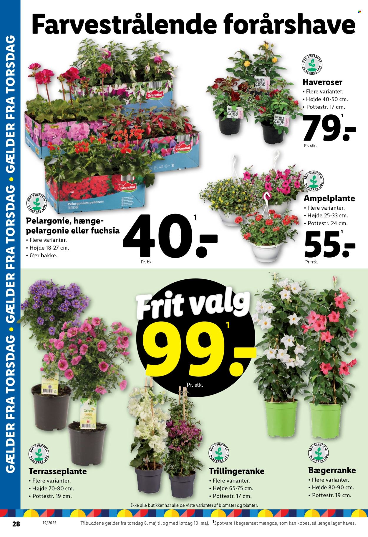 Lidl tilbud - 8.5.2025 - 10.5.2025. Side 8