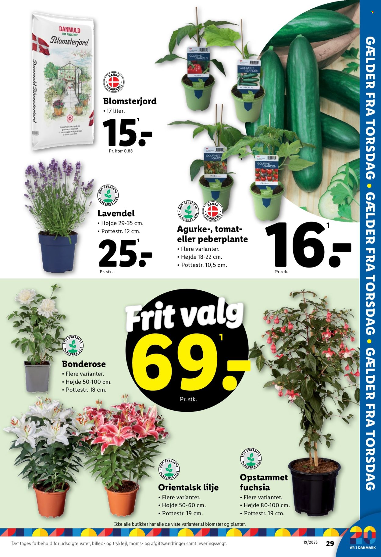 Lidl tilbud - 8.5.2025 - 10.5.2025. Side 9